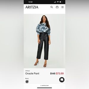 Aritzia Leather Pants